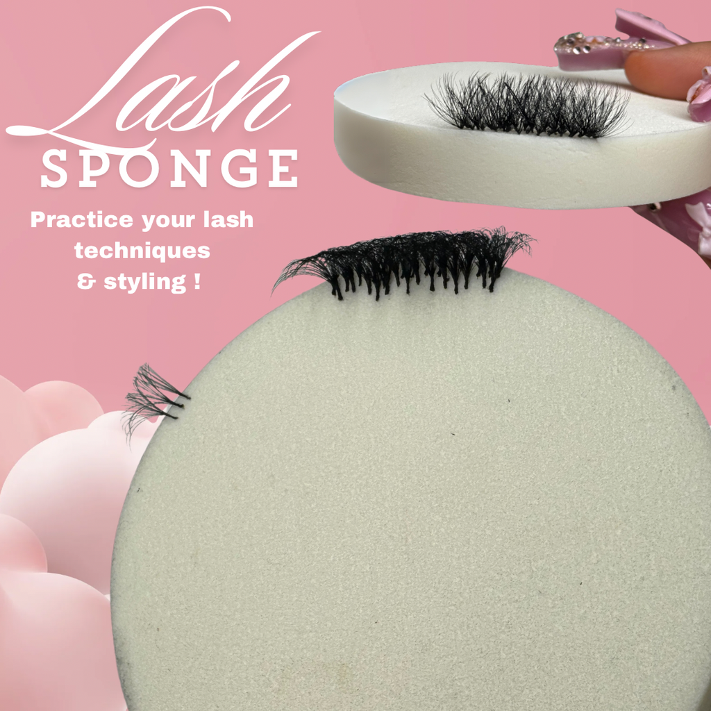 Lash Sponges