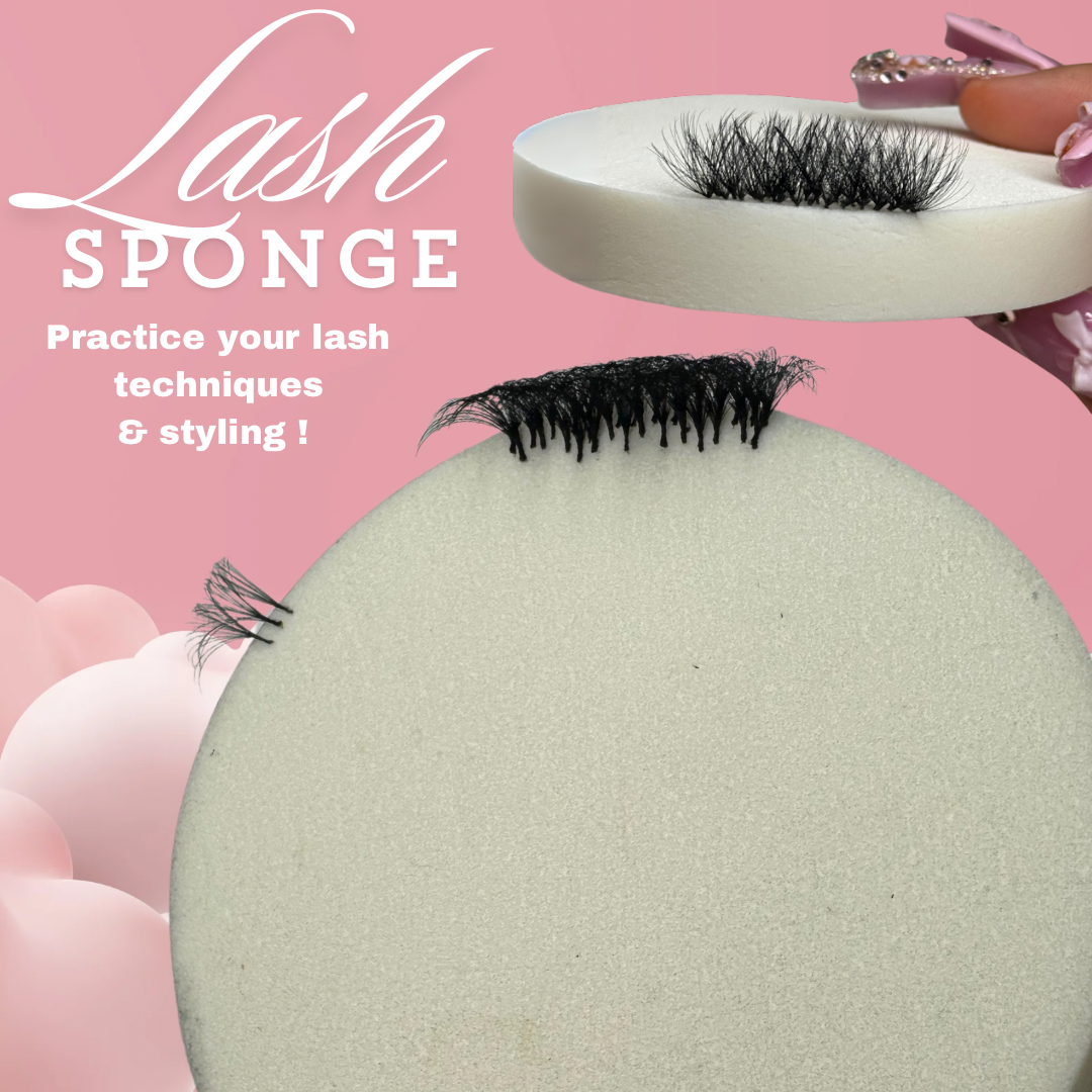 Lash Sponges